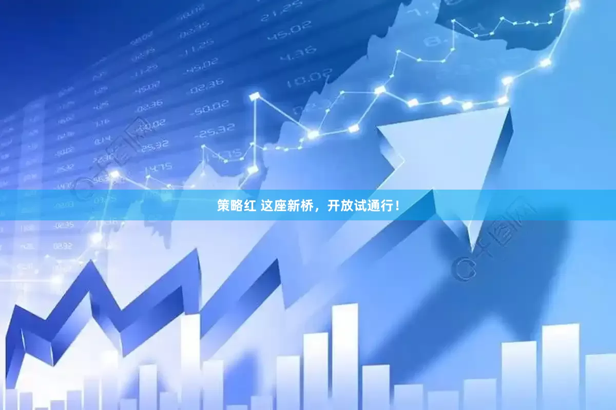 策略红 这座新桥，开放试通行！