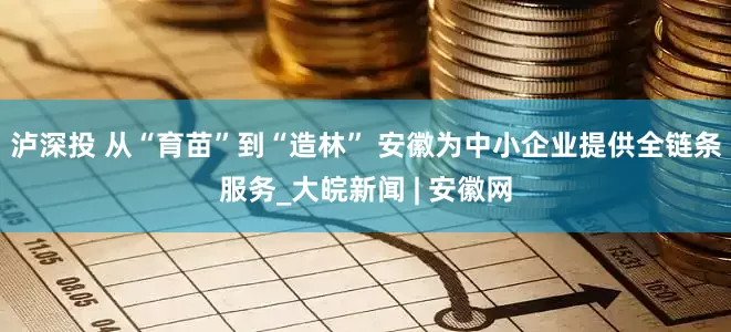 泸深投 从“育苗”到“造林” 安徽为中小企业提供全链条服务_大皖新闻 | 安徽网